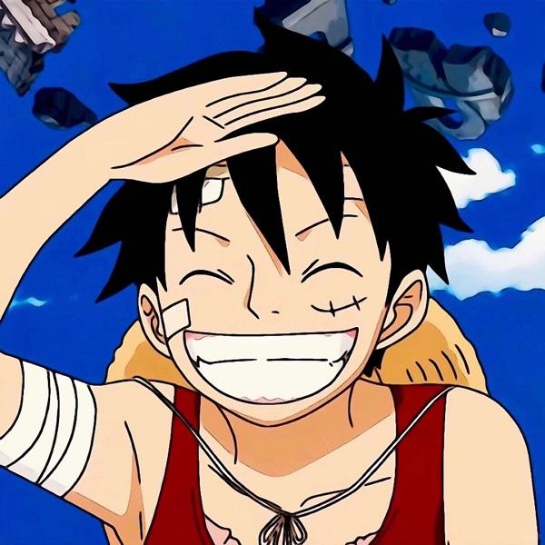 ảnh luffy cute 10
