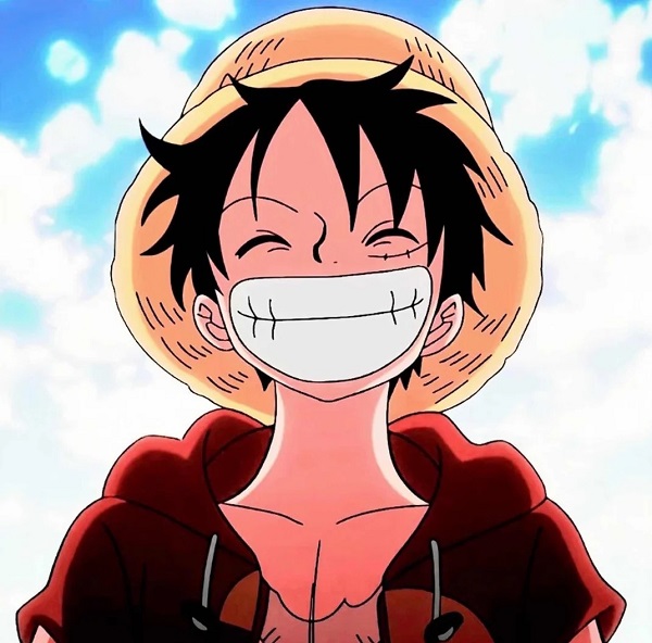 ảnh luffy cute 11