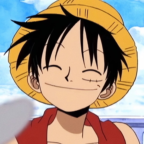 ảnh luffy cute 13