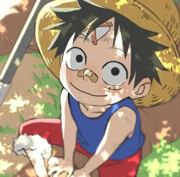 ảnh luffy cute 21 