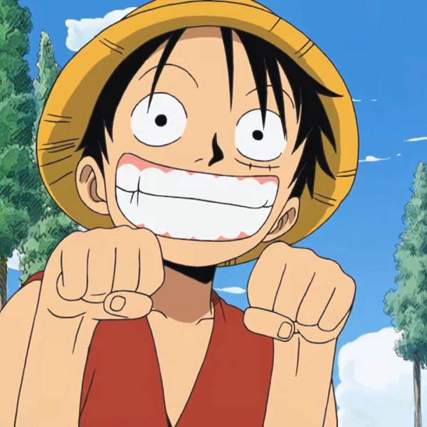 ảnh luffy cute 24