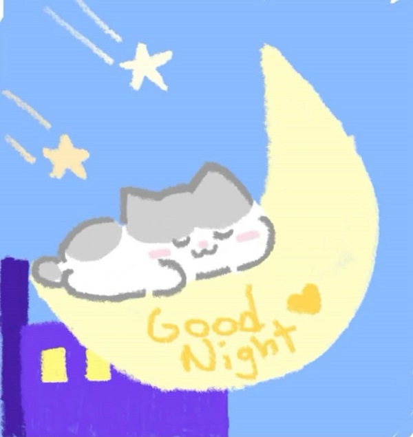 chúc ngủ ngon dễ thương cute 10