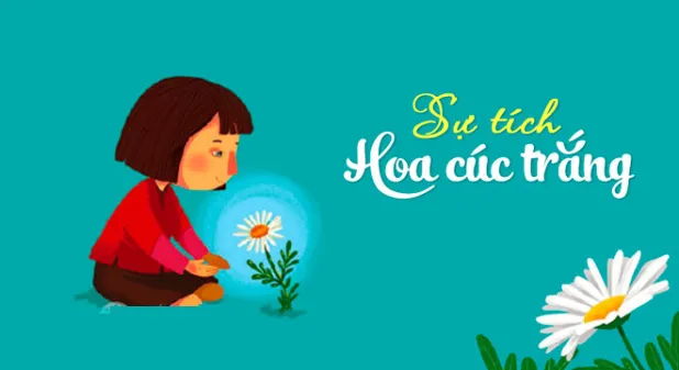 sự tích hoa cúc trắng