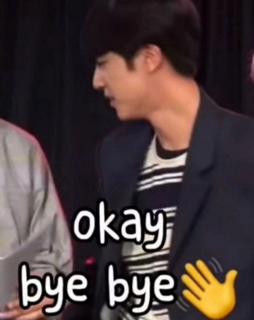 bye meme 31