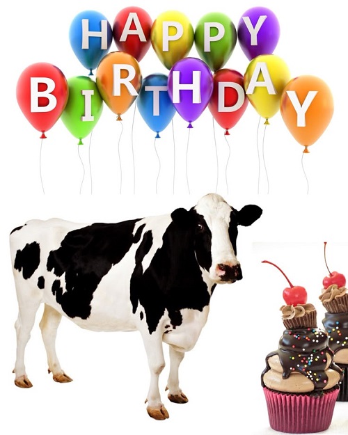 happy birthday meme 23