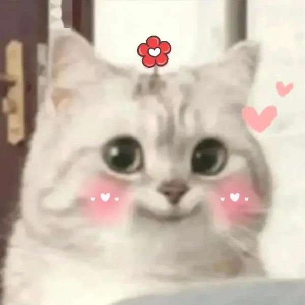 hình ảnh thả thính cute 2
