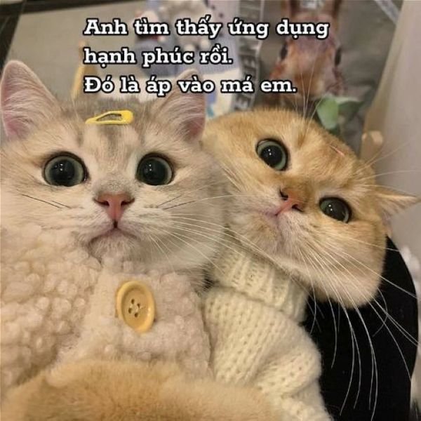 hình ảnh thả thính cute 29
