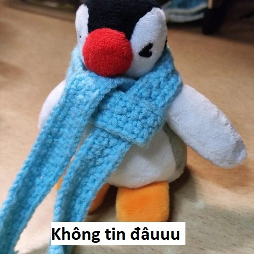 meme đéo tin 29