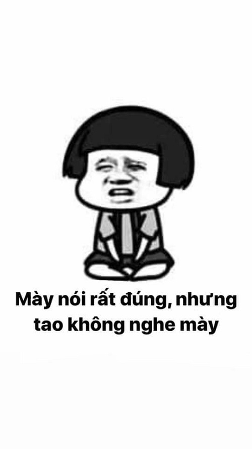 meme gấu trúc bựa 21