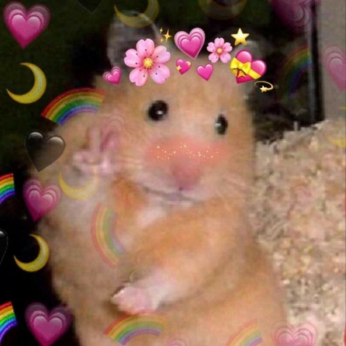 meme hamster say hi 31