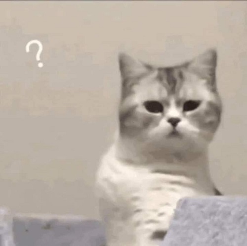 meme khó hiểu 18