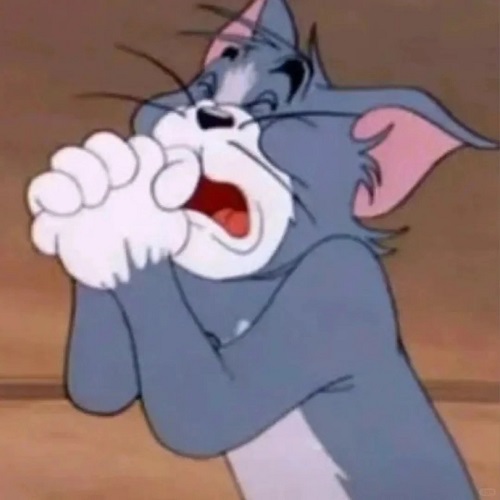 meme lạy 16