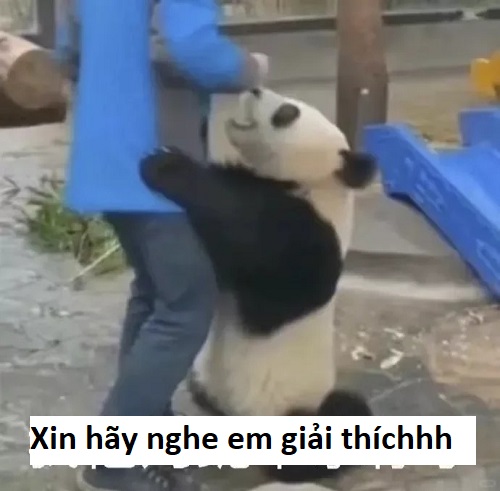 meme lạy 22