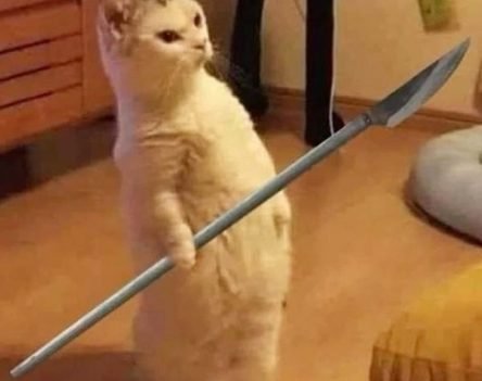 Top 80+ meme mèo cầm dao ngầu lòi khiến cõi mạng bùng nổ