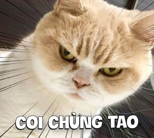 meme tức giận 16 