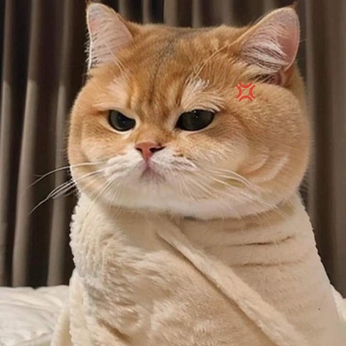 meme tức giận 3