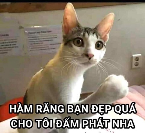 meme tức giận 38