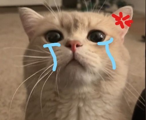 meme tức giận 6