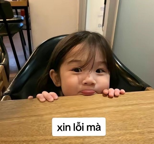 meme xin lỗi 10