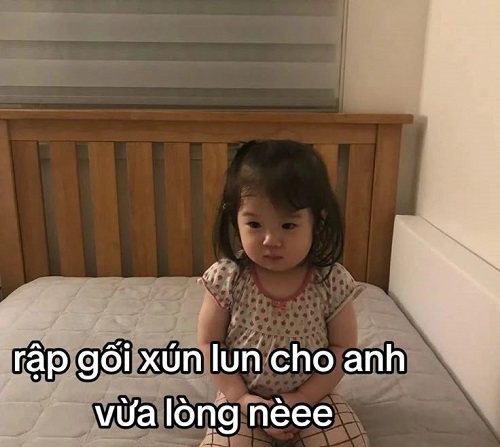 meme xin lỗi 11