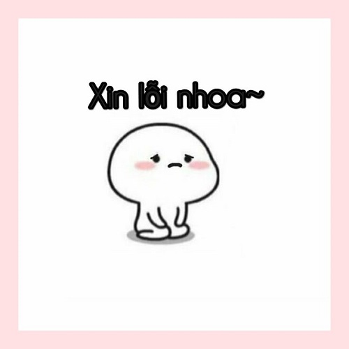 meme xin lỗi 12