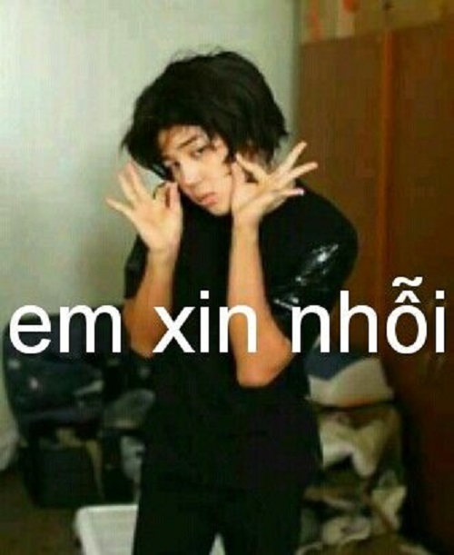 meme xin lỗi 16