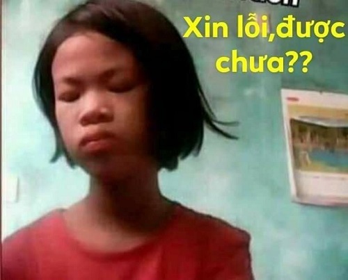 meme xin lỗi 17