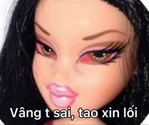 meme xin lỗi 19