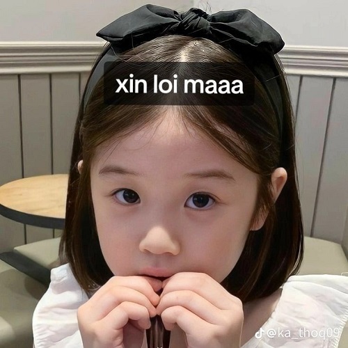 meme xin lỗi 2