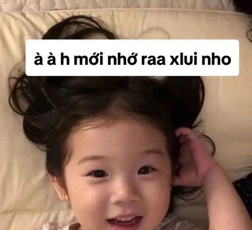 meme xin lỗi 20