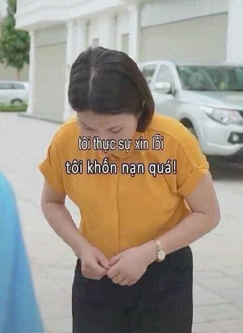 meme xin lỗi 21