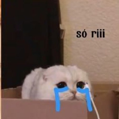 meme xin lỗi 23