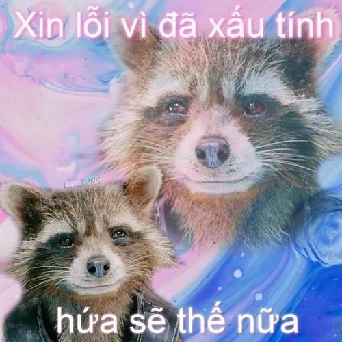 meme xin lỗi 27