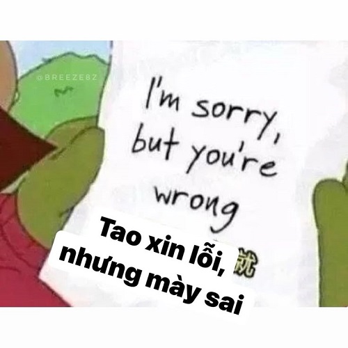 meme xin lỗi 29