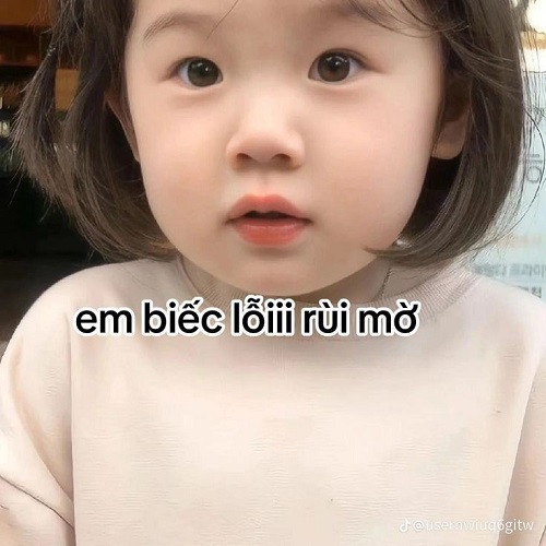 meme xin lỗi 3