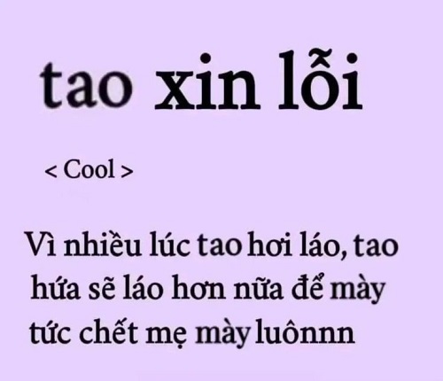 meme xin lỗi 30