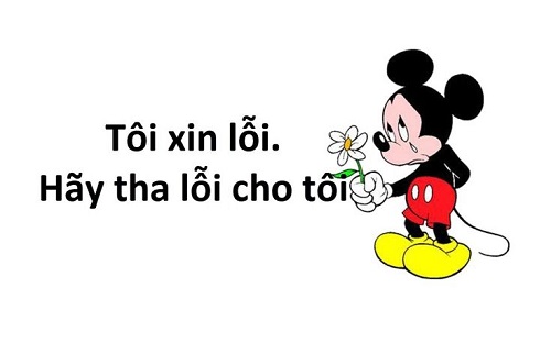meme xin lỗi 33