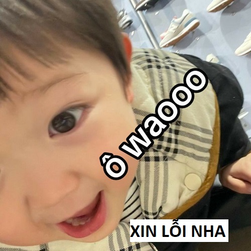 meme xin lỗi 34