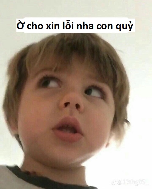 meme xin lỗi 38