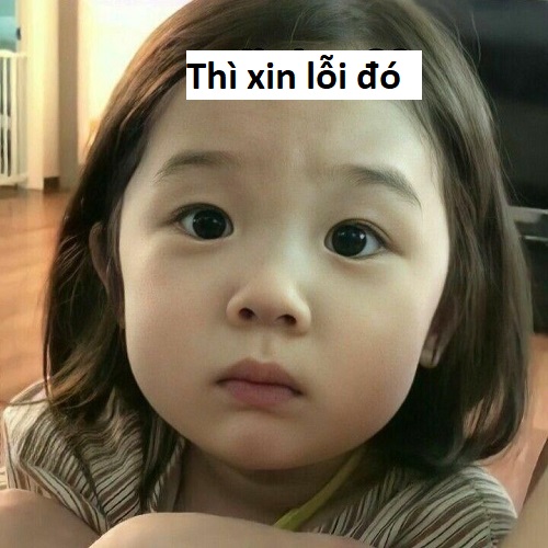 meme xin lỗi 39