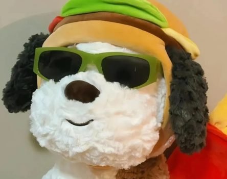 109+ Ảnh cute vô tri đáng yêu muốn ‘rụng tim’ 