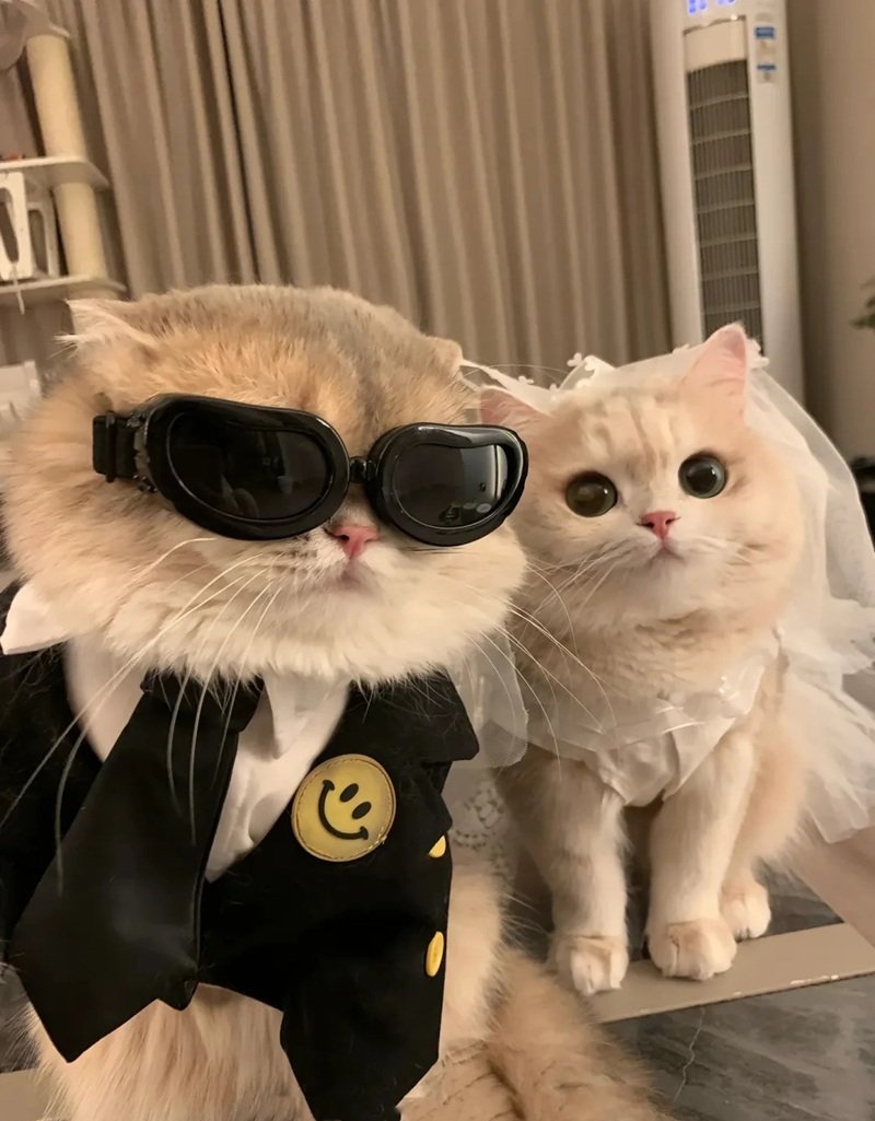 ảnh đôi cute 39