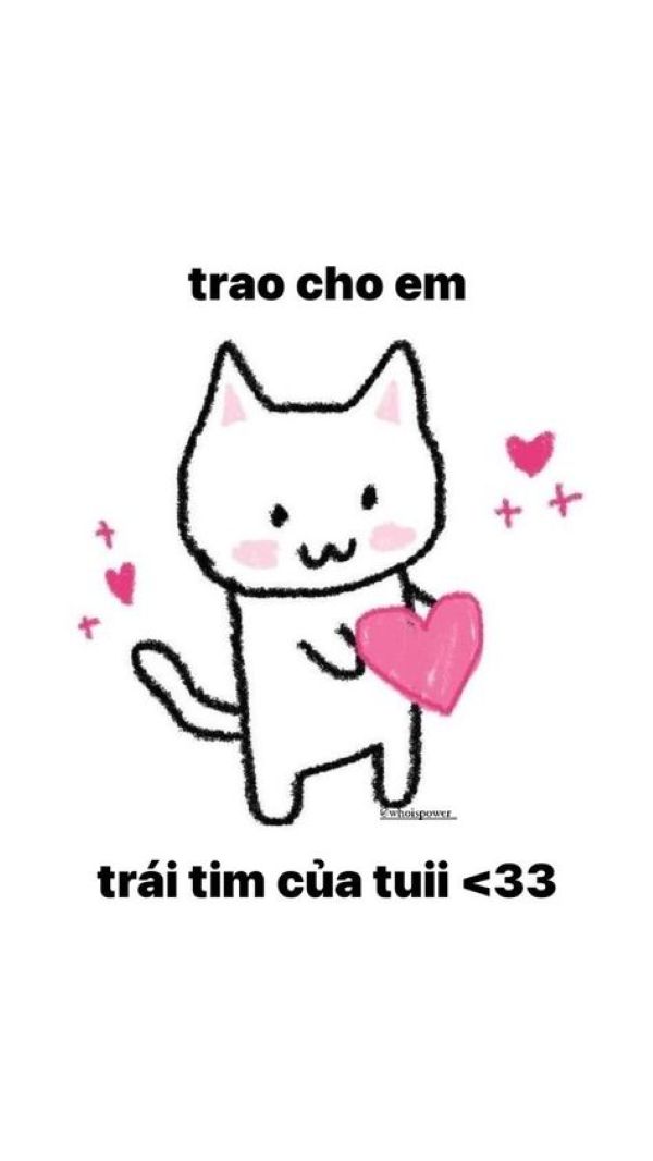 ảnh thả tim cute 15