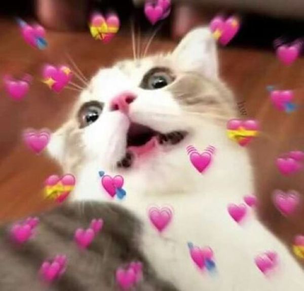 ảnh thả tim cute 20