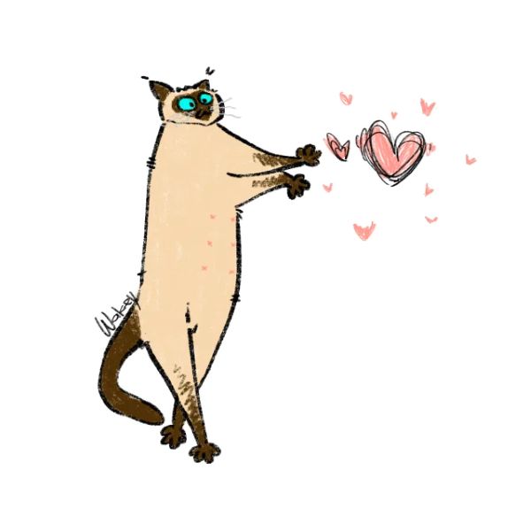 ảnh thả tim cute 26