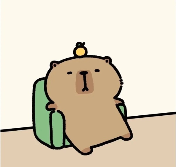 capybara chibi 18