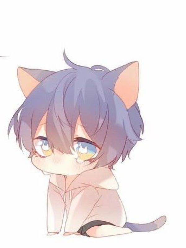 cat chibi 2