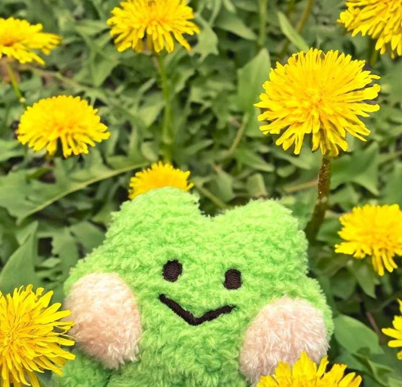 hình ảnh con ếch xanh cute 30