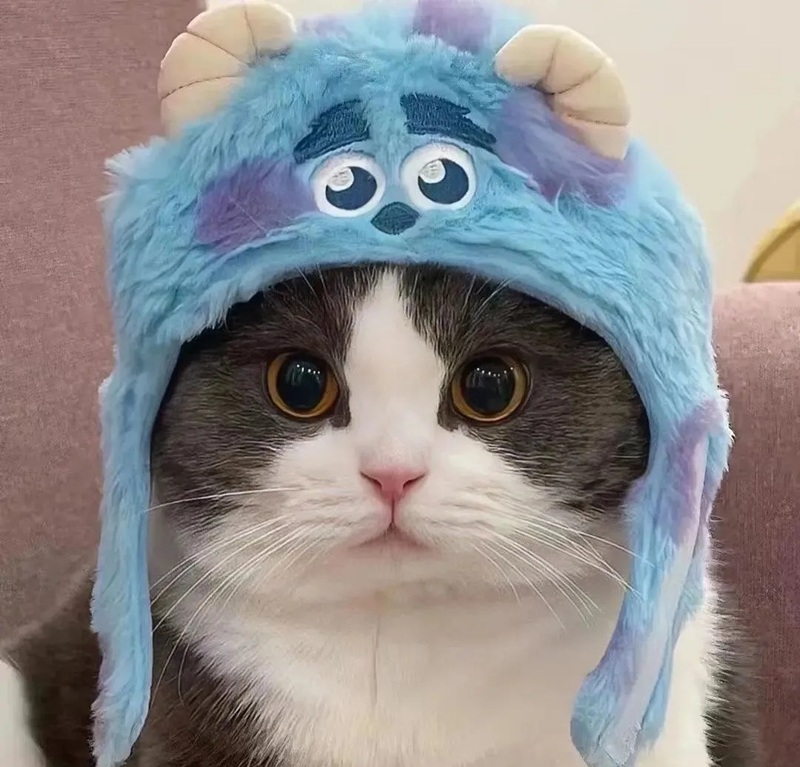 hình ảnh con vật cute 18