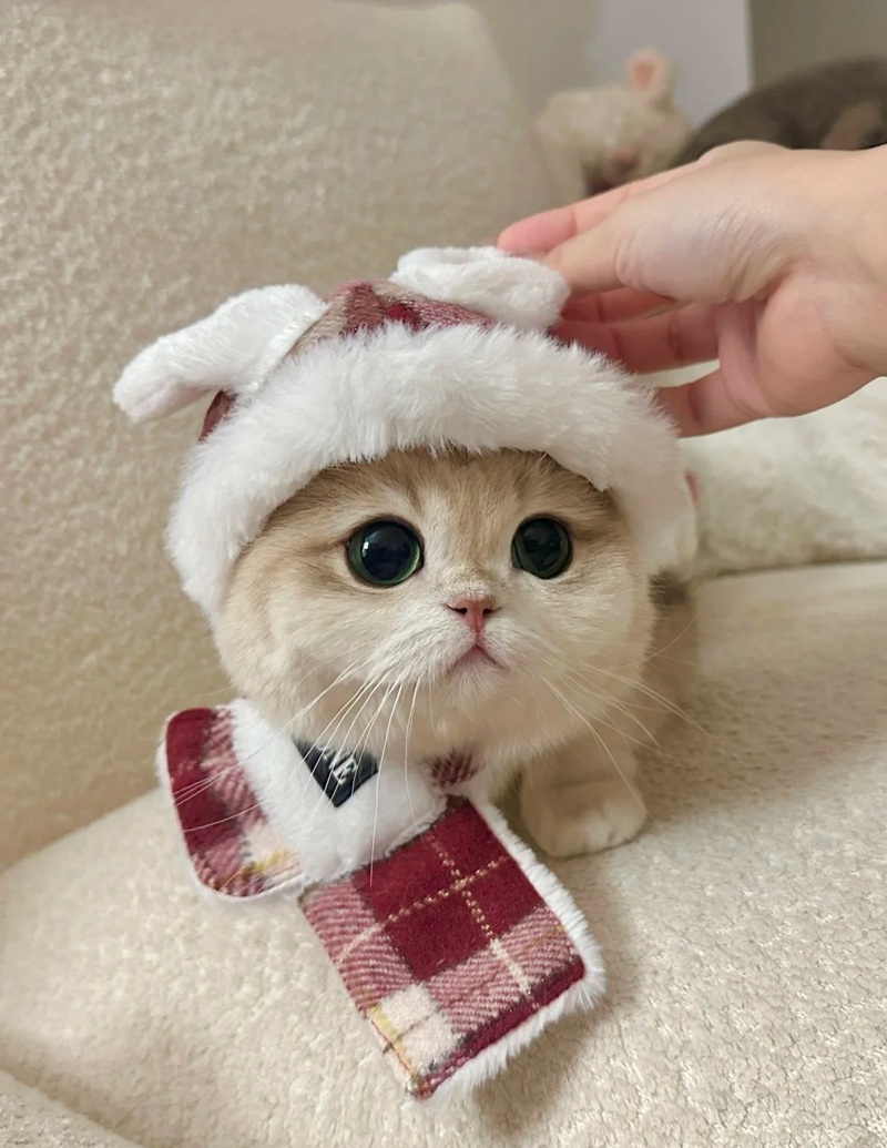 hình ảnh cute nhất the giới 22